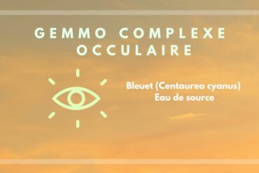 GEM-NOCTE – Complexe sommeil