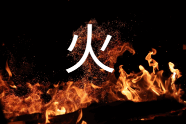 Le BOIS – 木 (mù)