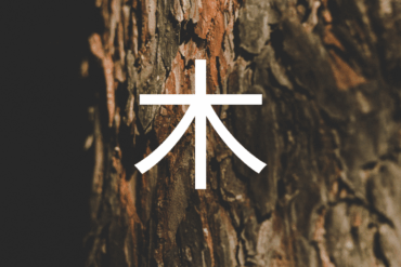 Le FEU – 火 (huǒ)