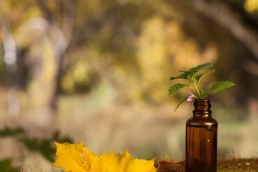 Rhume : remèdes naturels pour soulager rapidement les symptômes